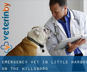 Emergency Vet in Little Harbor on the Hillsboro