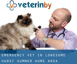 Emergency Vet in Lonesome Hurst Summer Home Area