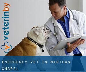 Emergency Vet in Marthas Chapel