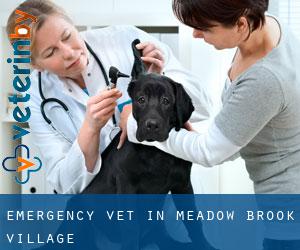 Emergency Vet in Meadow Brook Village