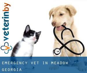Emergency Vet in Meadow (Georgia)