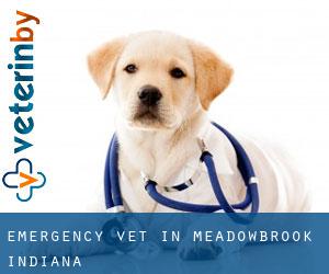 Emergency Vet in Meadowbrook (Indiana)