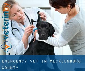 Emergency Vet in Mecklenburg County