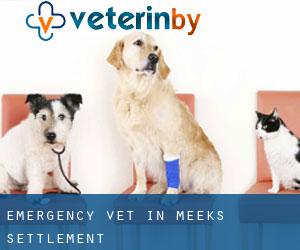 Emergency Vet in Meeks Settlement