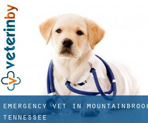 Emergency Vet in Mountainbrook (Tennessee)