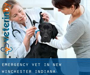 Emergency Vet in New Winchester (Indiana)