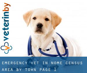 Emergency Vet in Nome Census Area by town - page 1