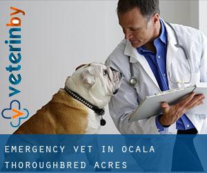 Emergency Vet in Ocala Thoroughbred Acres