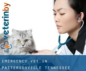 Emergency Vet in Pattersonville (Tennessee)