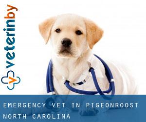 Emergency Vet in Pigeonroost (North Carolina)