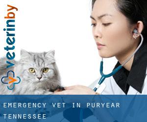 Emergency Vet in Puryear (Tennessee)