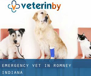 Emergency Vet in Romney (Indiana)