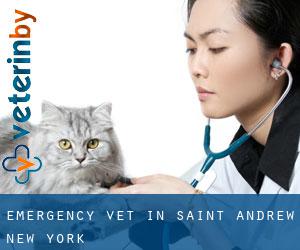 Emergency Vet in Saint Andrew (New York)