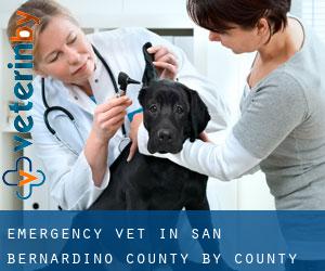 Emergency Vet in San Bernardino County by county seat - page 9