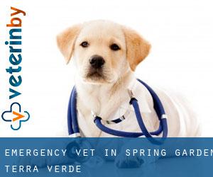 Emergency Vet in Spring Garden-Terra Verde