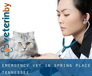 Emergency Vet in Spring Place (Tennessee)