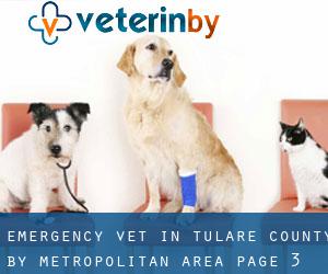 Emergency Vet in Tulare County by metropolitan area - page 3