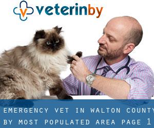 Emergency Vet in Walton County by most populated area - page 1