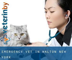 Emergency Vet in Walton (New York)