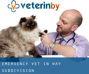 Emergency Vet in Way Subdivision