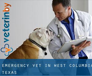 Emergency Vet in West Columbia (Texas)