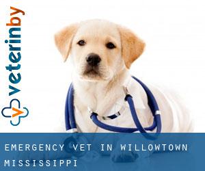 Emergency Vet in Willowtown (Mississippi)