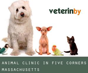 Animal Clinic in Five Corners (Massachusetts)