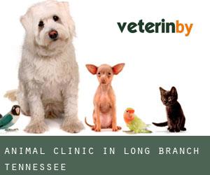 Animal Clinic in Long Branch (Tennessee)