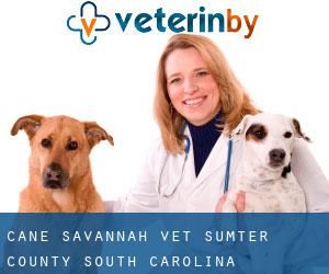 Cane Savannah vet (Sumter County, South Carolina)