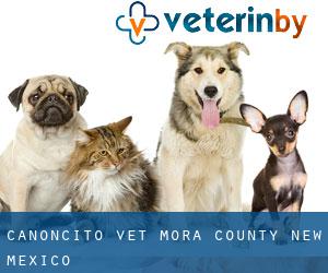 Canoncito vet (Mora County, New Mexico)