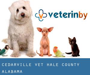 Cedarville vet (Hale County, Alabama)