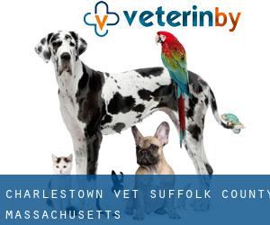 Charlestown vet (Suffolk County, Massachusetts)