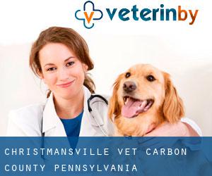 Christmansville vet (Carbon County, Pennsylvania)