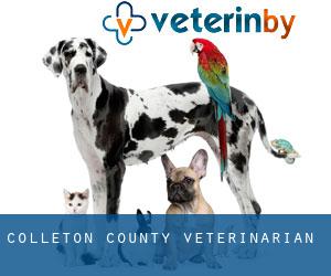 Colleton County veterinarian