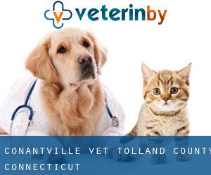 Conantville vet (Tolland County, Connecticut)