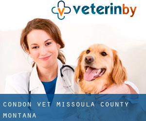 Condon vet (Missoula County, Montana)