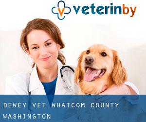 Dewey vet (Whatcom County, Washington)