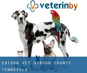 Edison vet (Gibson County, Tennessee)