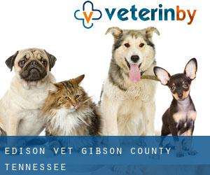 Edison vet (Gibson County, Tennessee)