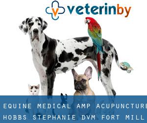 Equine Medical & Acupuncture: Hobbs Stephanie DVM (Fort Mill)