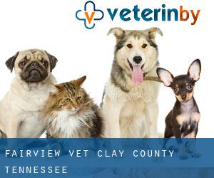 Fairview vet (Clay County, Tennessee)