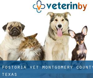 Fostoria vet (Montgomery County, Texas)