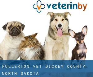 Fullerton vet (Dickey County, North Dakota)