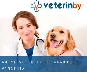 Ghent vet (City of Roanoke, Virginia)