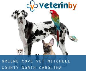 Greene Cove vet (Mitchell County, North Carolina)