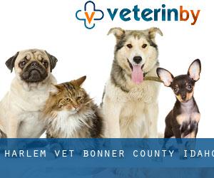 Harlem vet (Bonner County, Idaho)