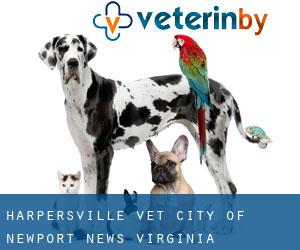 Harpersville vet (City of Newport News, Virginia)