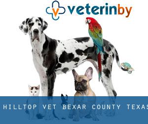 Hilltop vet (Bexar County, Texas)