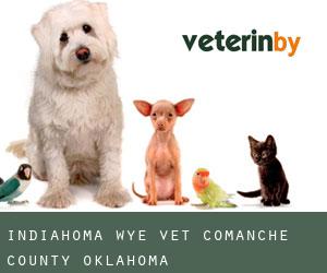 Indiahoma Wye vet (Comanche County, Oklahoma)