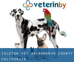 Isleton vet (Sacramento County, California)